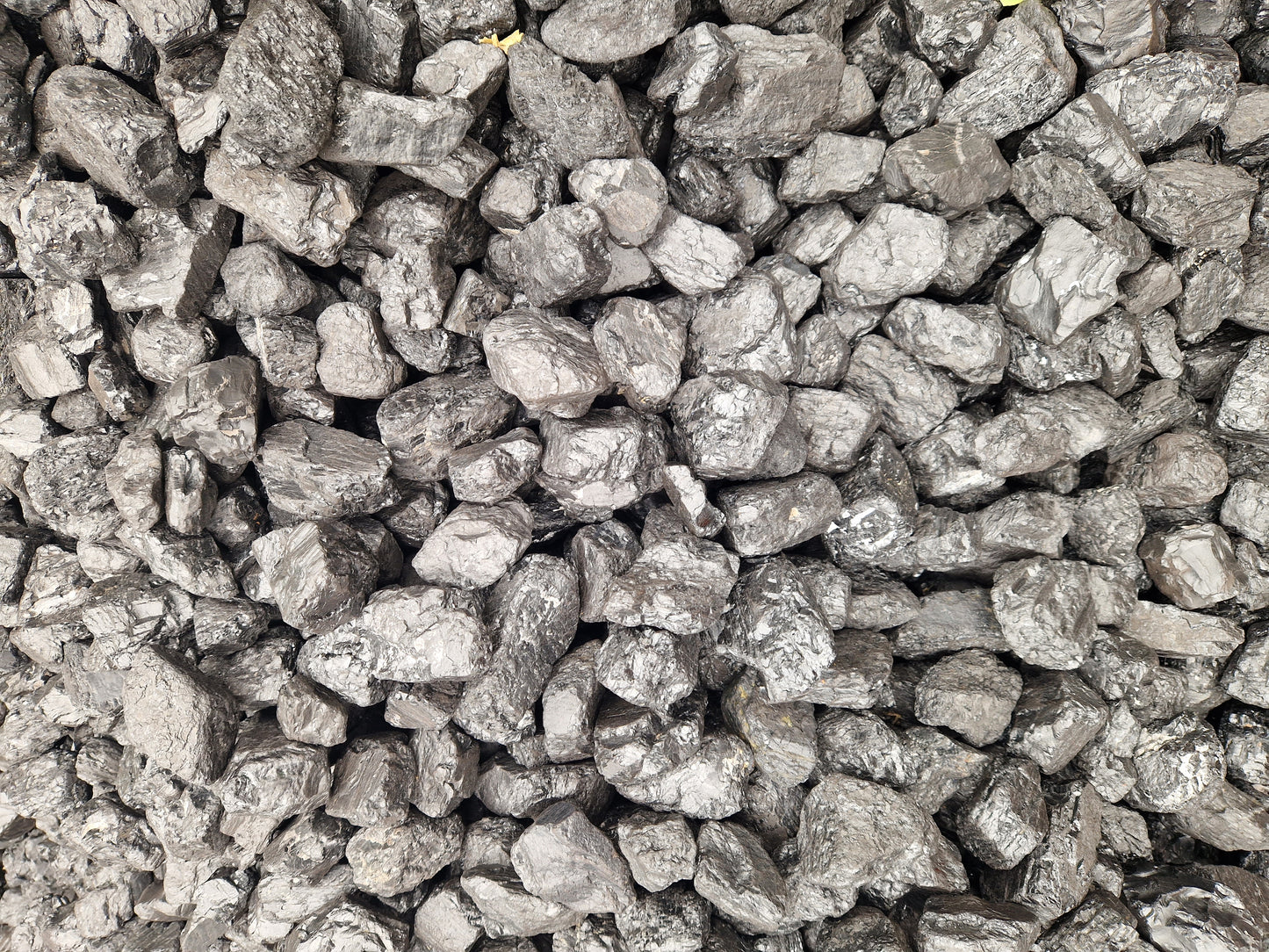 TOP QUALITY HOUSE COAL DOUBLES
